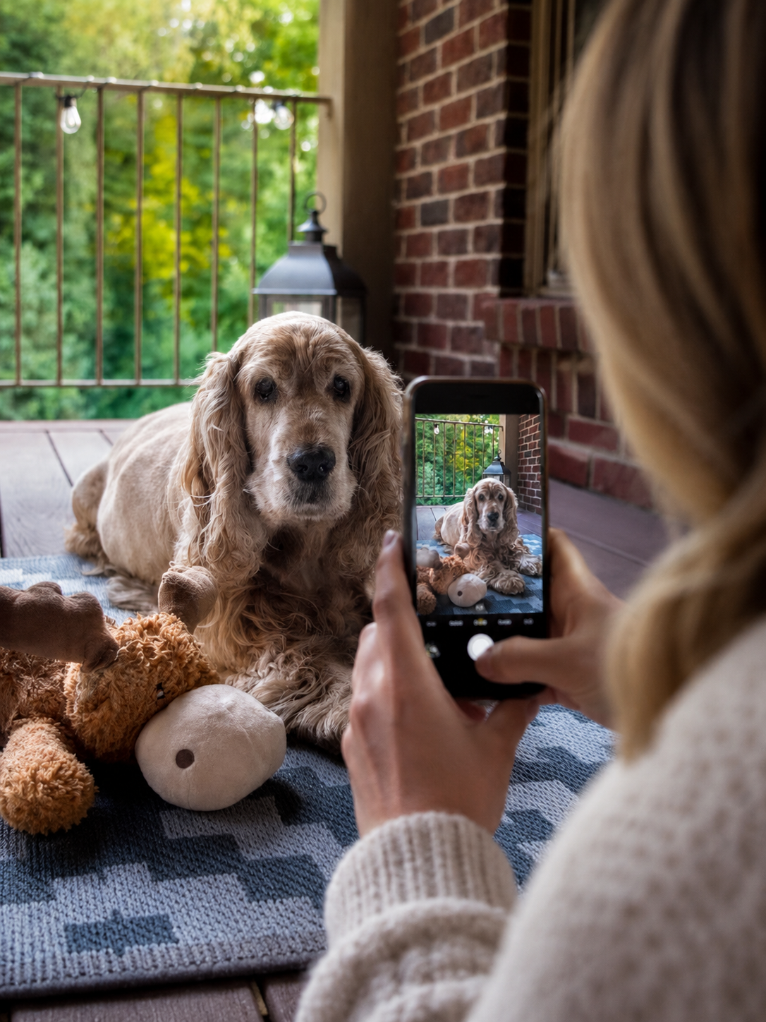 A pet owner photographing her dog with a mobile phone
